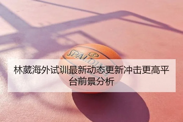 林葳海外试训最新动态更新冲击更高平台前景分析