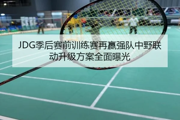 JDG季后赛前训练赛再赢强队中野联动升级方案全面曝光